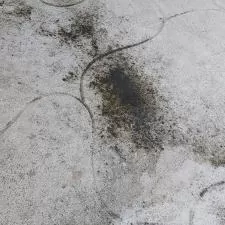 Albin Ave House Cleaning in North Port, FL 7