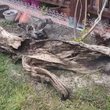Albin Ave House Cleaning in North Port, FL 29