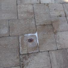 Complete Property Wash in Paradise Way Venice, FL 25