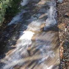 Helen's Driveway 3