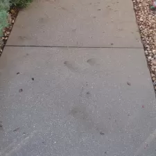 Helen's Driveway 8