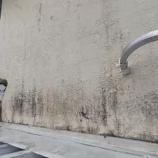 Two-Story House Wash in Sarasota, FL 20