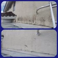 Two-Story House Wash in Sarasota, FL 31