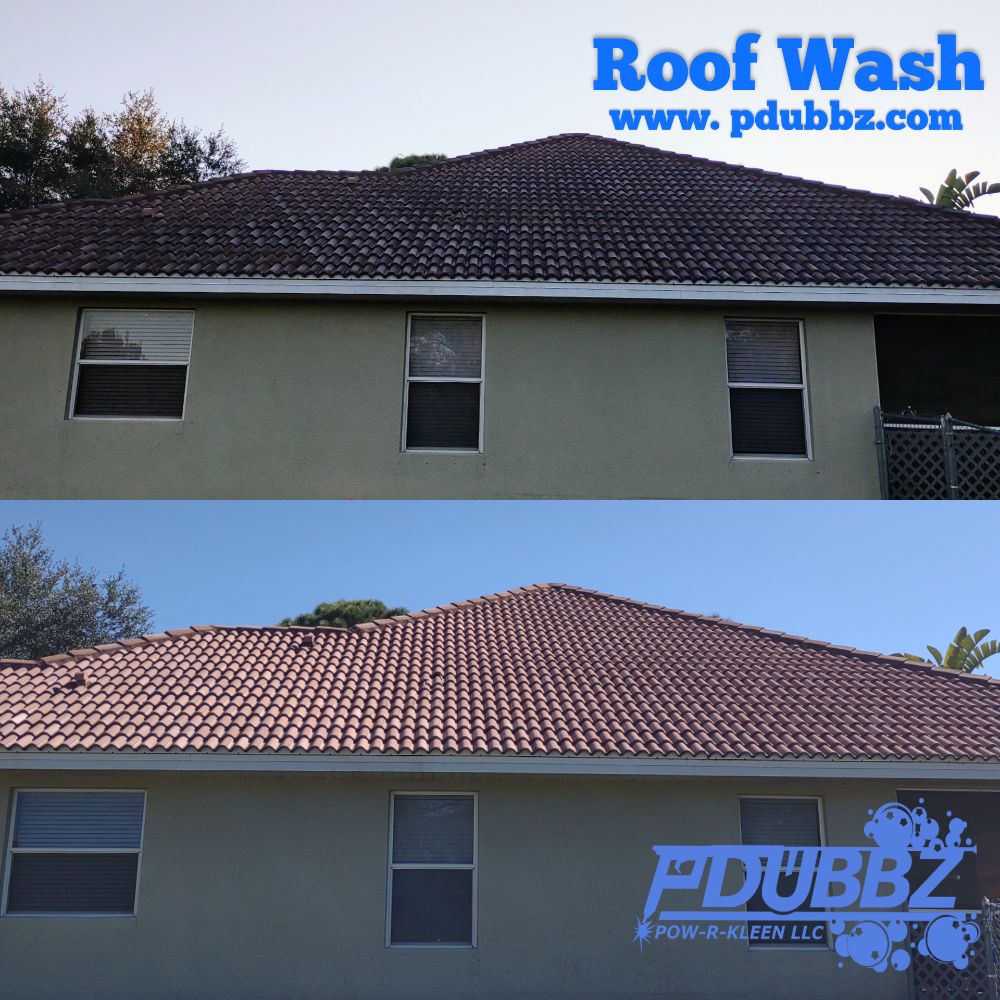 Roof wash rotonda fl